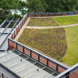 Монтаж зеленої покрі...