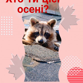 Кто ты этой осенью?