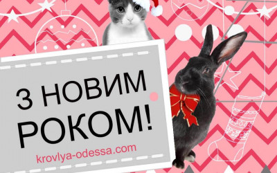 З новим роком!